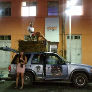 Mangue Oranje Recife